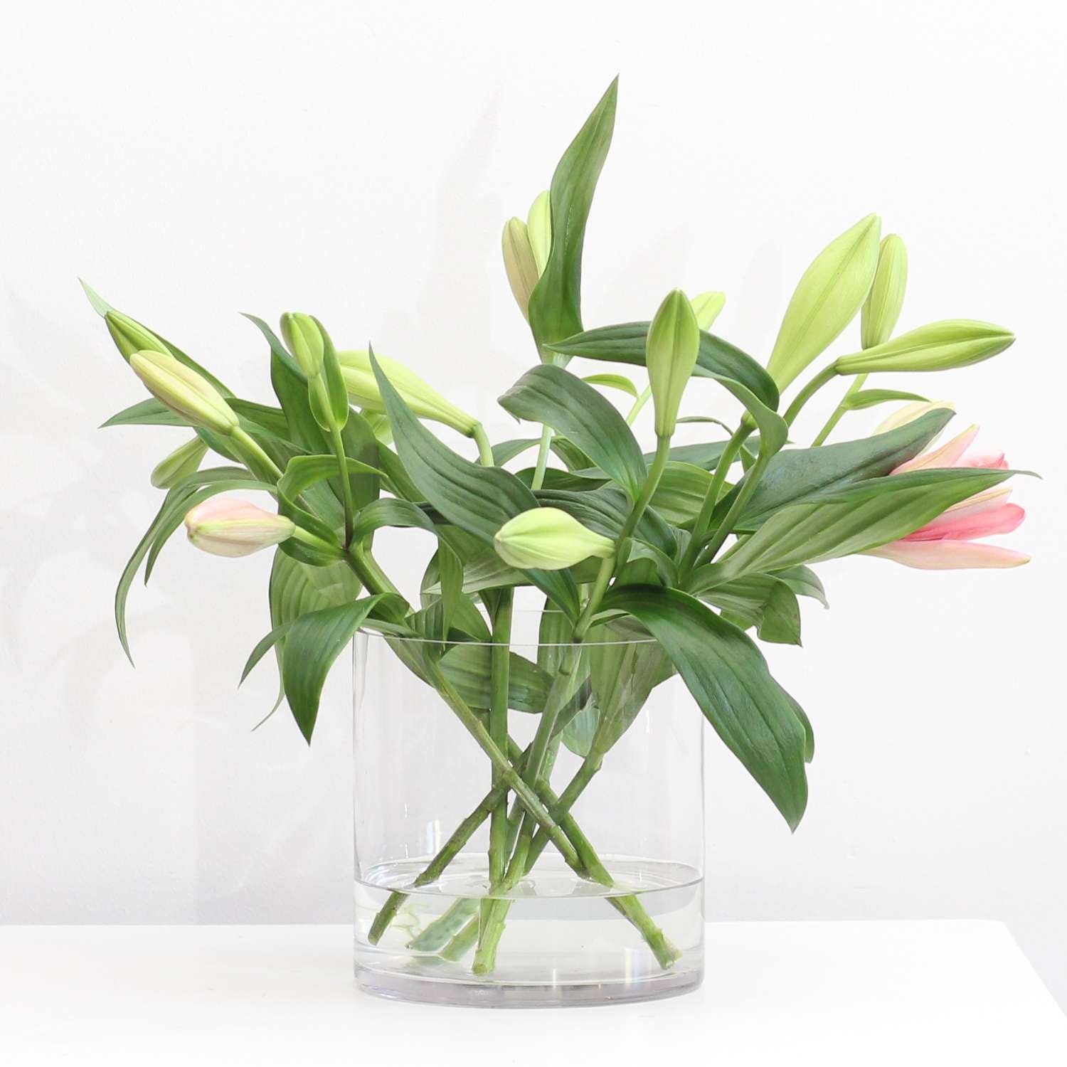 Bouquet Twister -kukkakimpputyökalu, champagne green